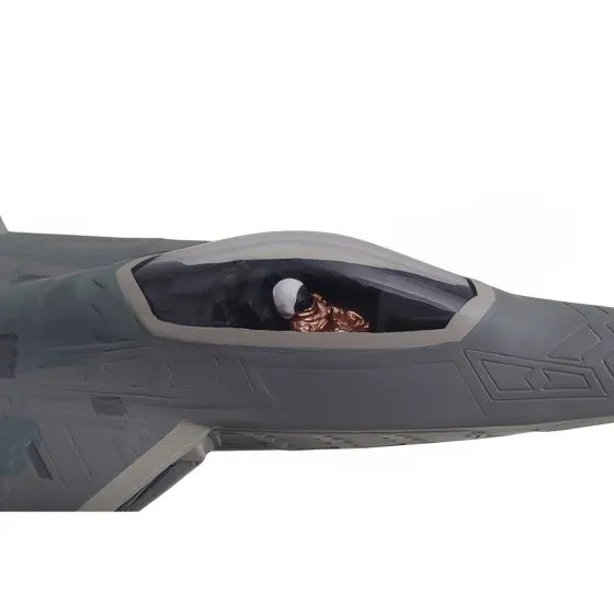 F-22 Raptor Executive Edition Model 12 F-22 Raptor Executive Edition Model