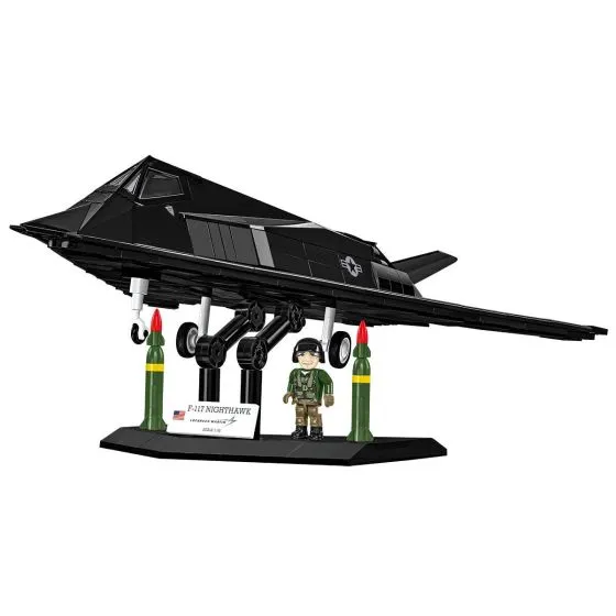 F-117 Nighthawk Block Model