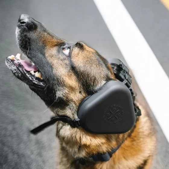4Paws Aviation Dog Ear Muffs