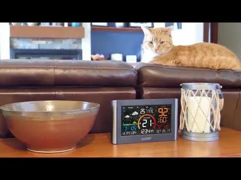 Wireless Wi-Fi Weather Station w/Wind Speed Sensor